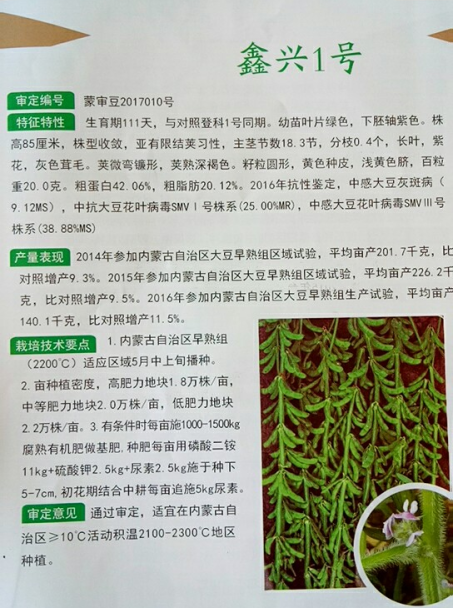 鑫兴1号.png